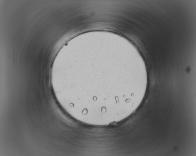 X0000115821371200912241926