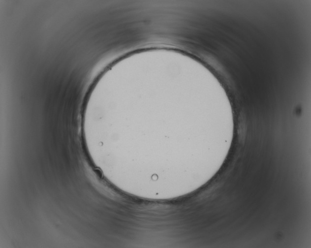 X0000115821372200912241926