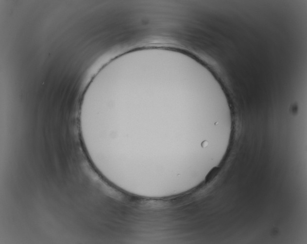 X0000115821374200912241926