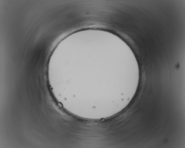 X0000115821375200912241926