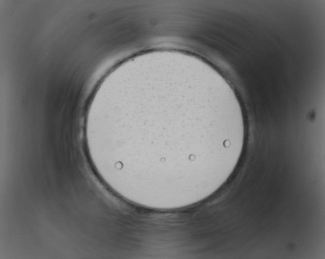 X0000115821376200912241926