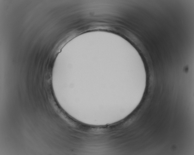 X0000115821377200912241926