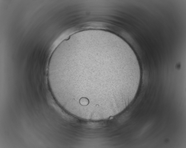 X0000115821378200912241926