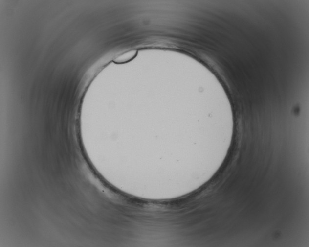 X0000115821379200912241926