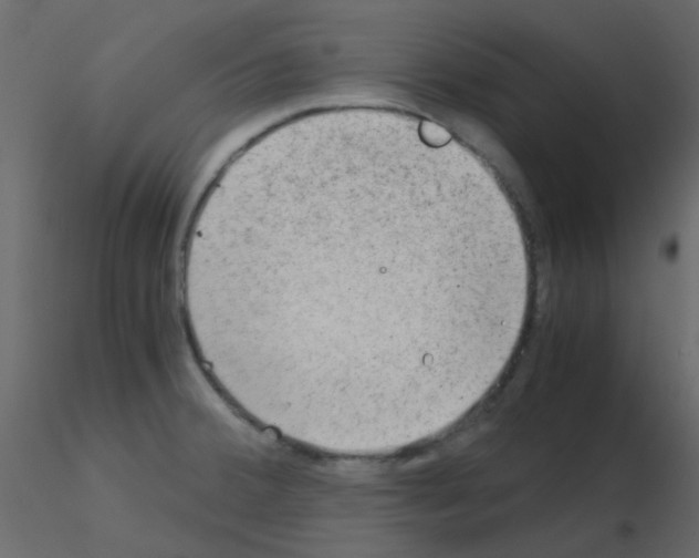 X0000115821380200912241926