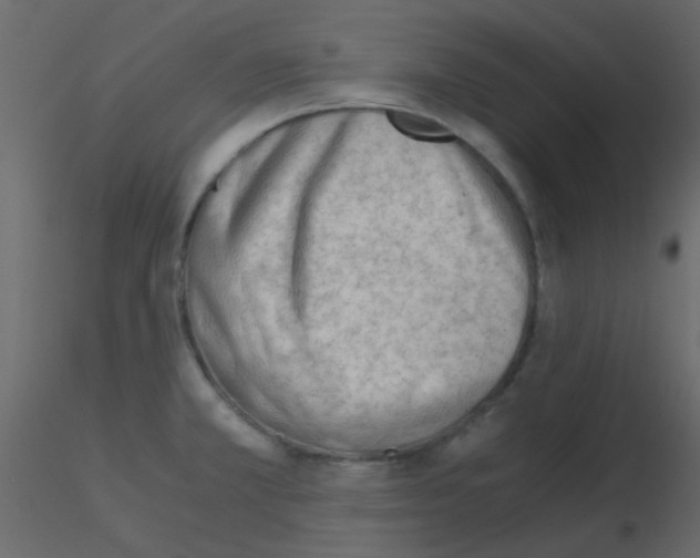 X0000115821381200912241926