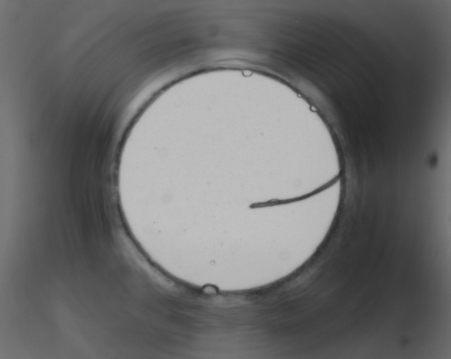 X0000115821384200912241926