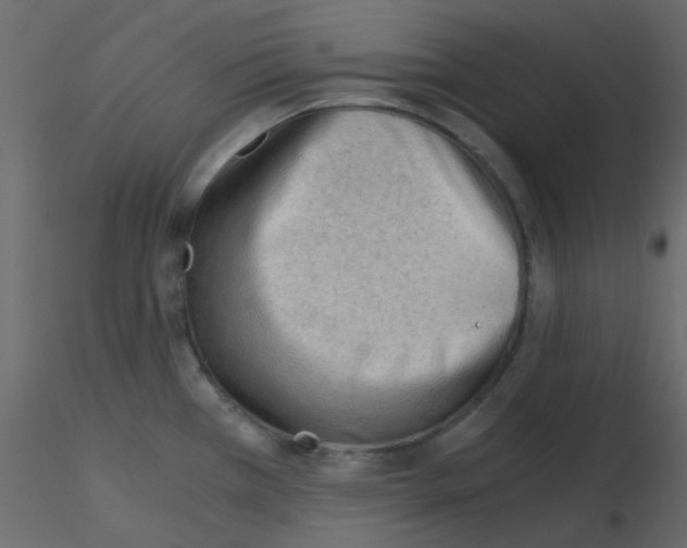 X0000115821385200912241926