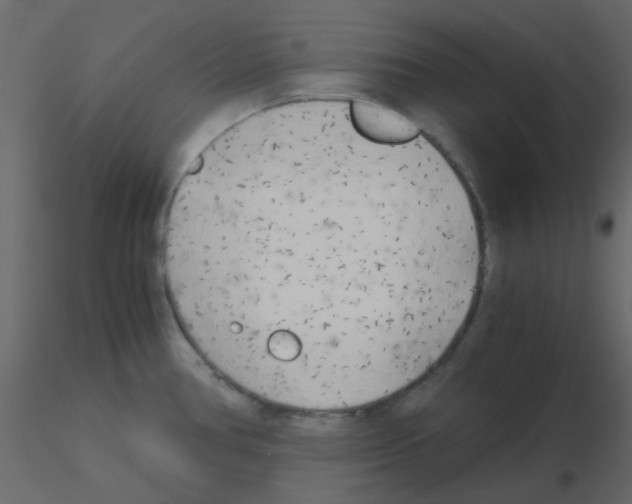 X0000115821386200912241926