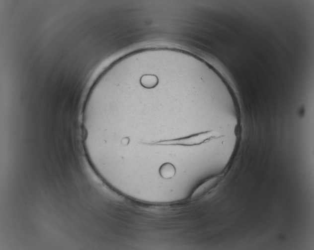 X0000115821388200912241926