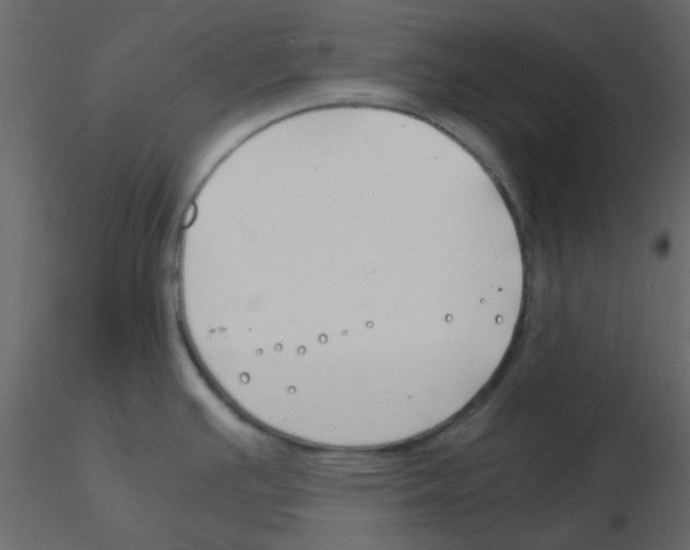 X0000115821391200912241926