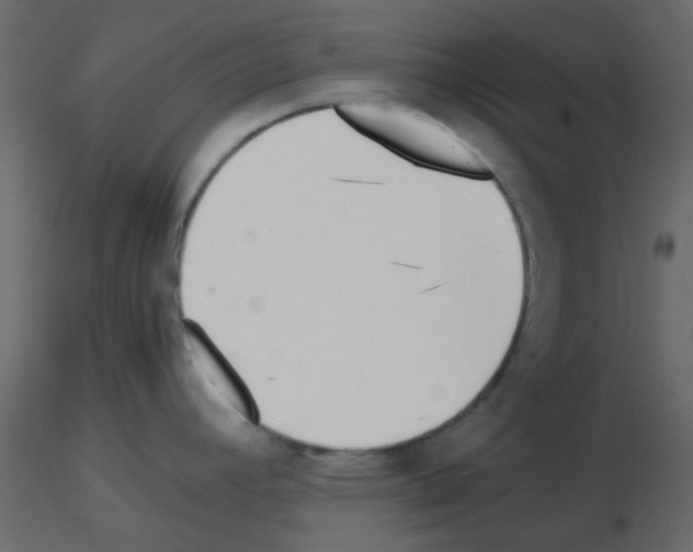 X0000115821392200912241926