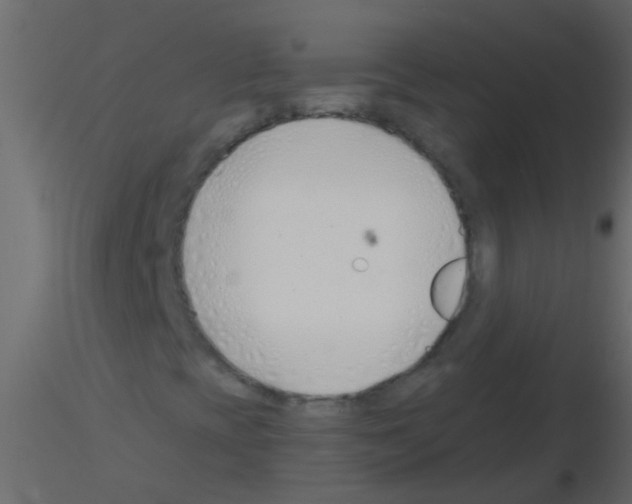 X0000115821393200912241925