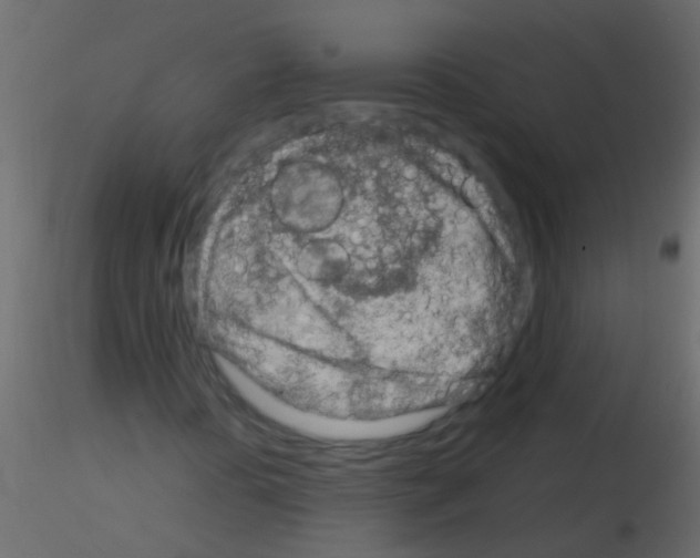 X0000115821394200912241925