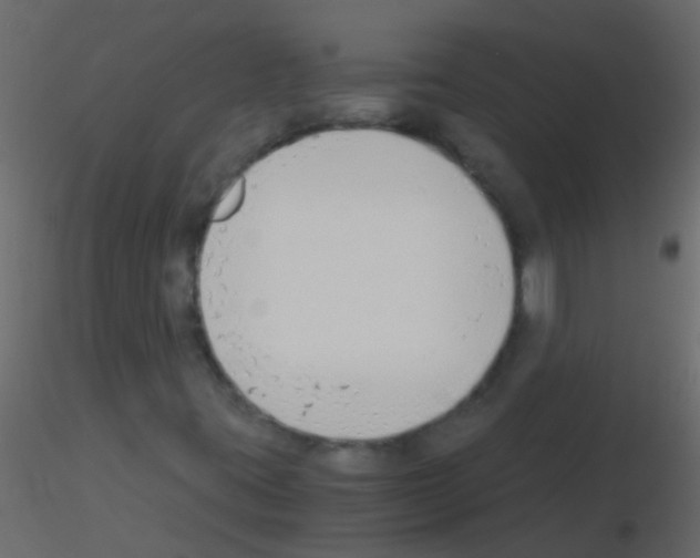 X0000115821395200912241925