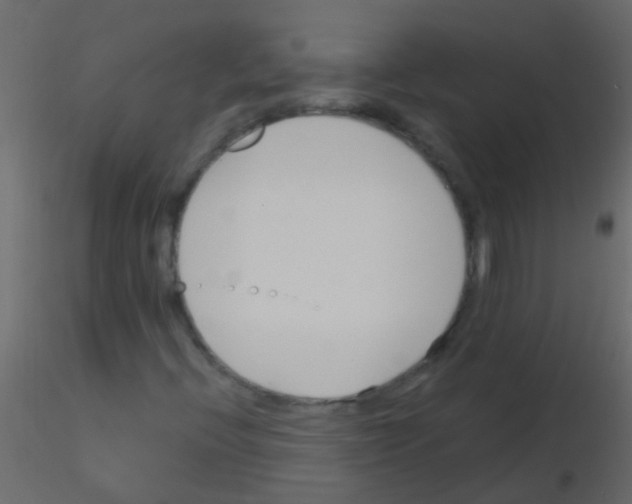 X0000115821396200912241925