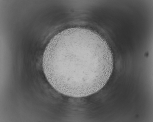 X0000115821397200912241925