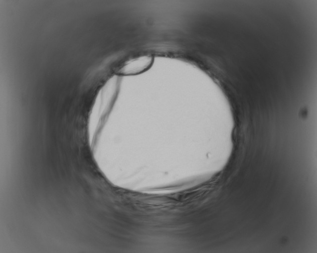 X0000115821398200912241925