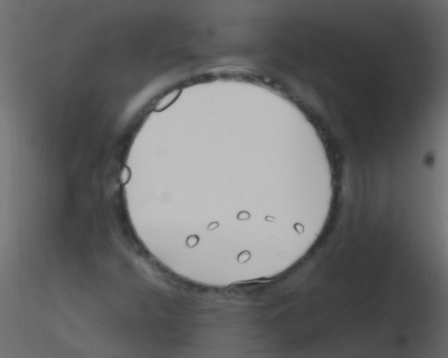 X0000115821400200912241925