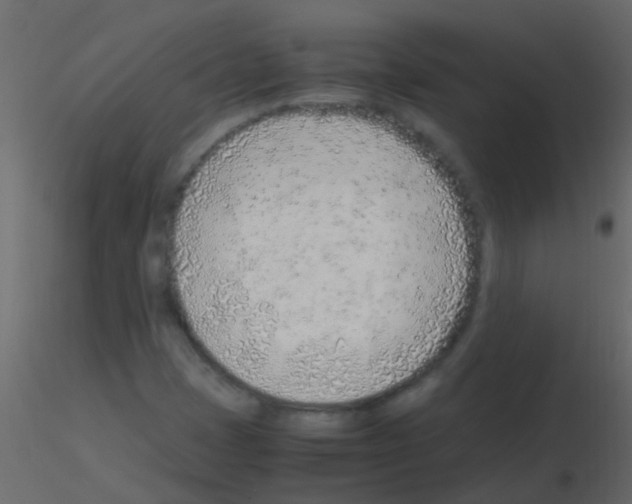 X0000115821401200912241925