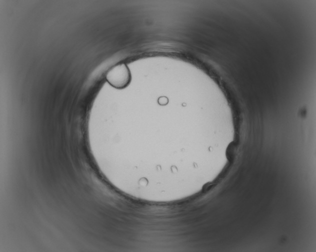 X0000115821402200912241925