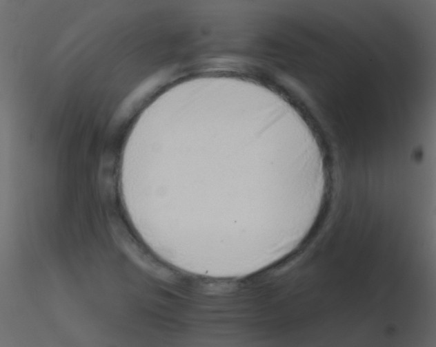 X0000115821403200912241925