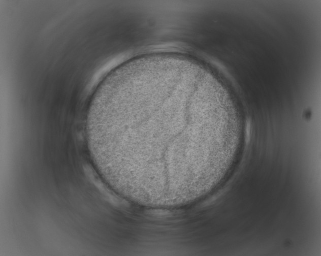 X0000115821405200912241925