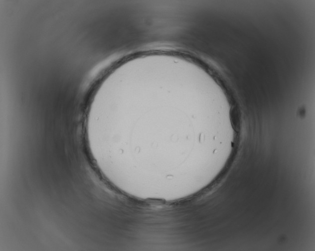 X0000115821406200912241925