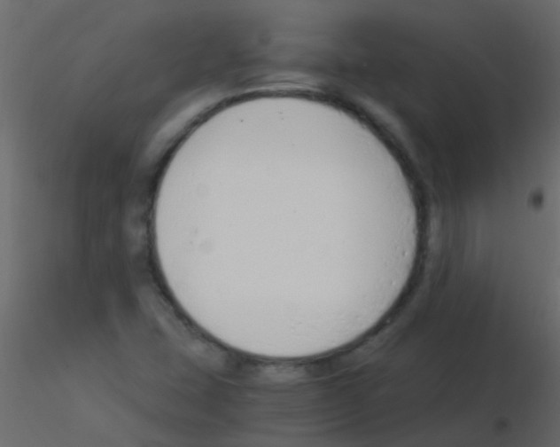 X0000115821407200912241925