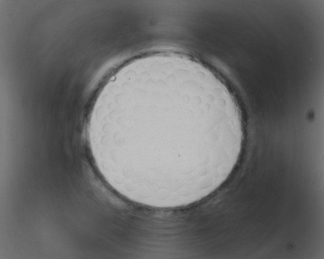 X0000115821408200912241925