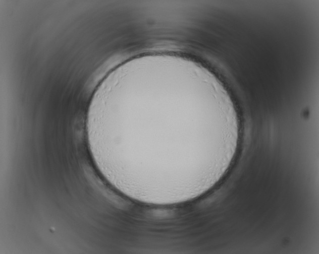 X0000115821409200912241925