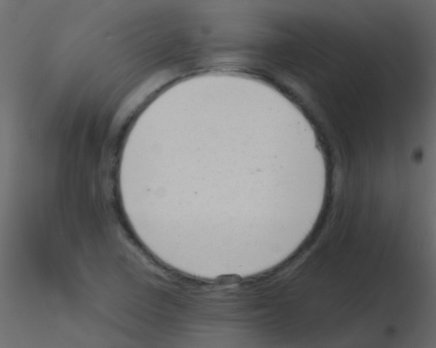 X0000115821410200912241925