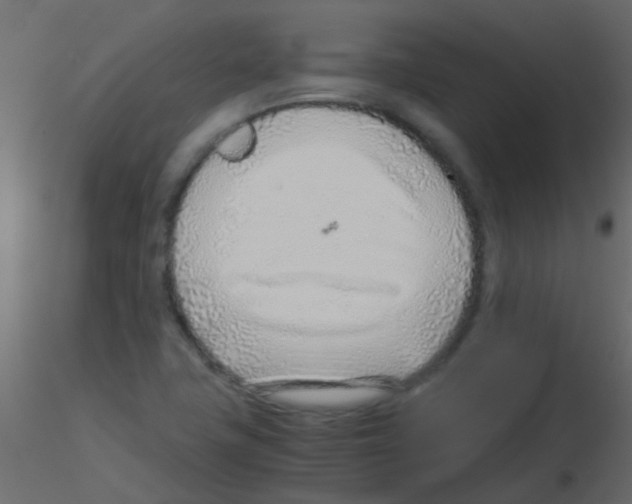 X0000115821411200912241925