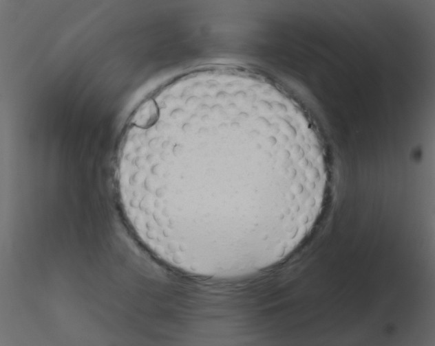 X0000115821412200912241925