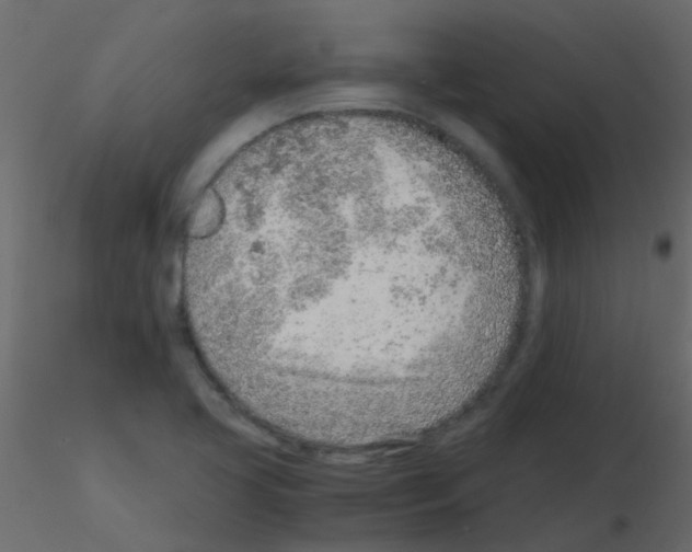 X0000115821413200912241925