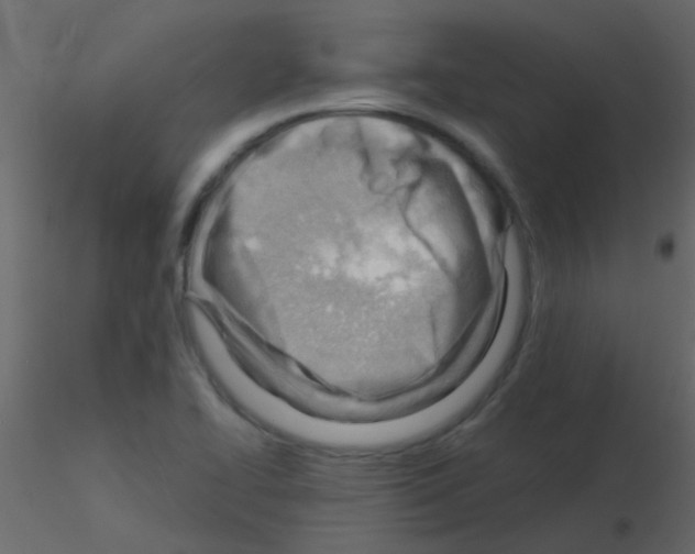 X0000115821414200912241925