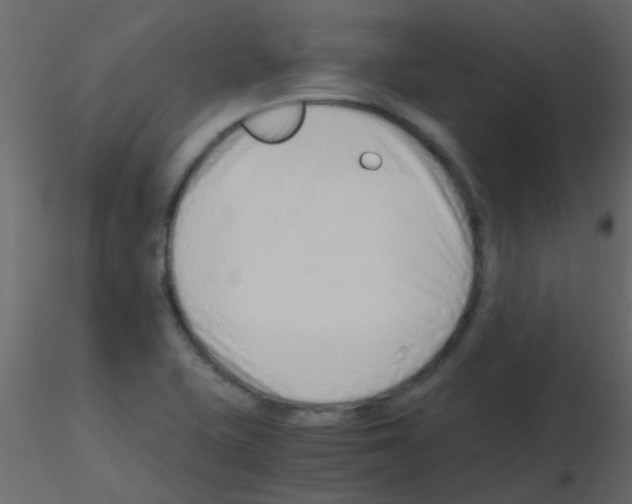 X0000115821415200912241925