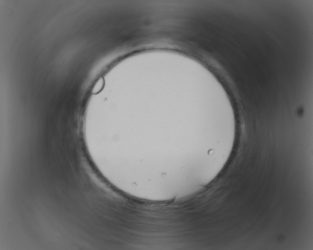 X0000115821416200912241925