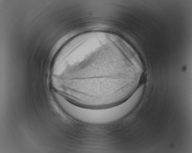 X0000115821418200912241925