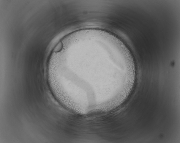 X0000115821419200912241925