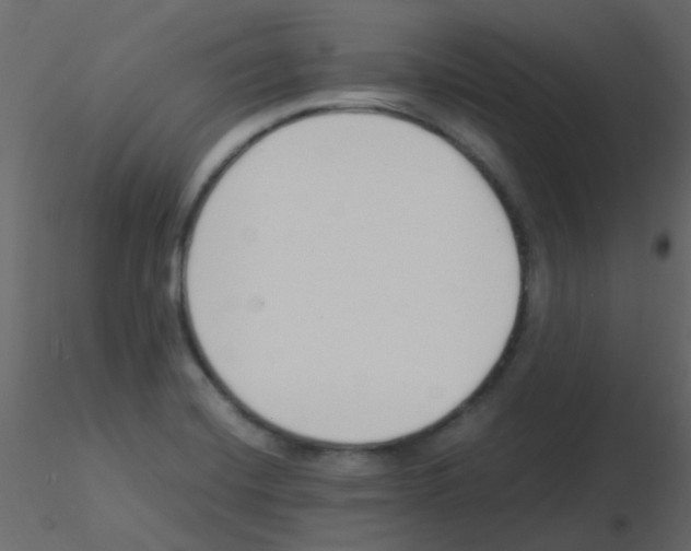 X0000115821420200912241925