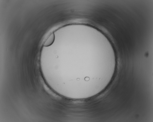 X0000115821421200912241925