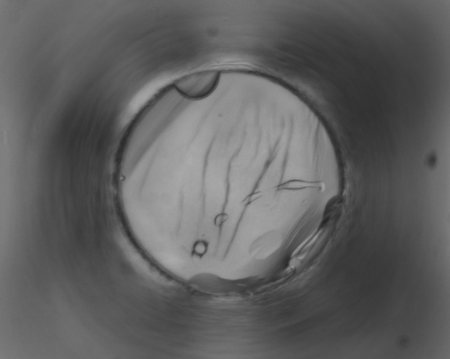 X0000115821422200912241925