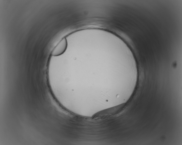 X0000115821423200912241925