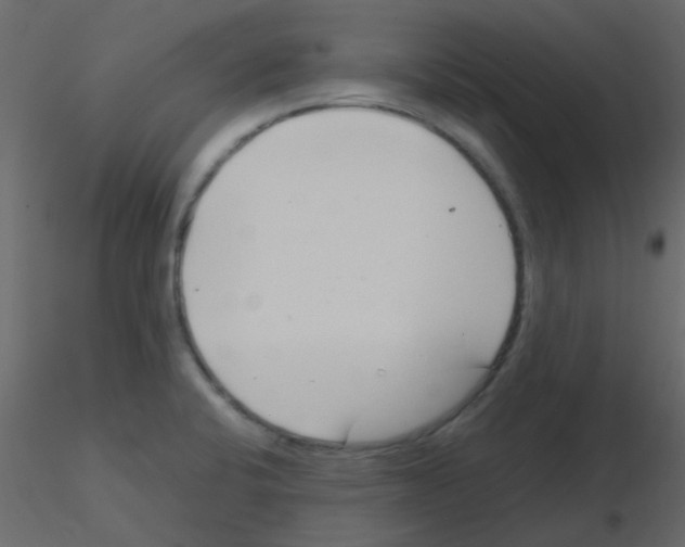 X0000115821424200912241925