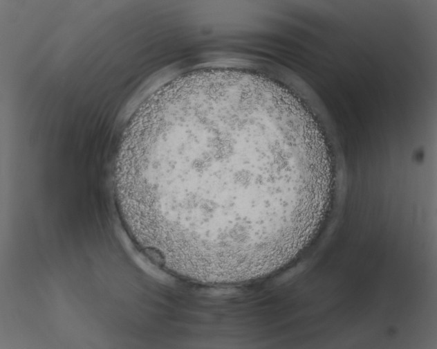 X0000115821425200912241925