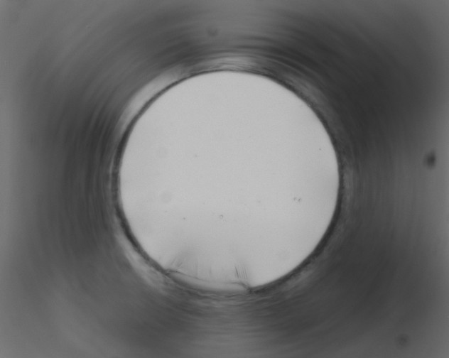 X0000115821426200912241925