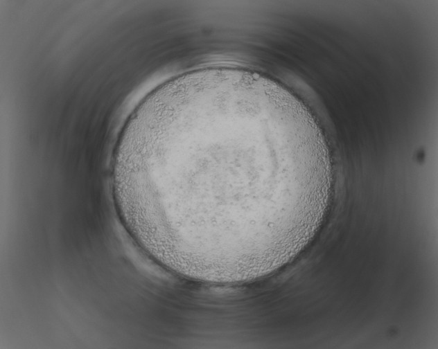 X0000115821427200912241925