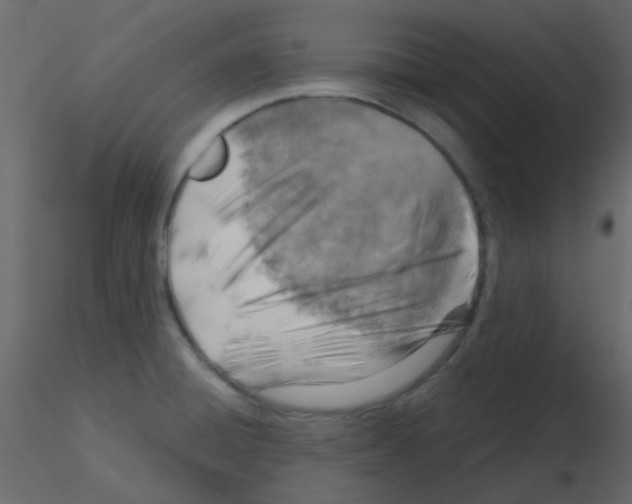 X0000115821428200912241926