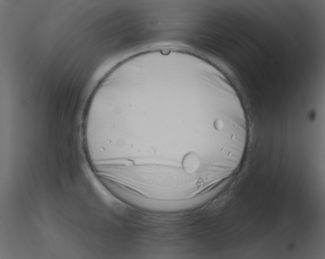 X0000115821430200912241926